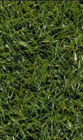 ERBA 200 MAR 7000 GROEN