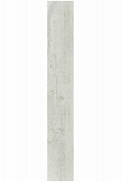 Плинтус Moduleo STD skirt Mod Tra Latin Pine 24142