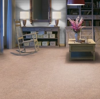 линолеум Tarkett SPRINT Pro Sahara 3