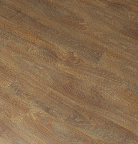 Дуб Катания