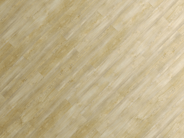 FF-1266 Дуб Авива 1 фото